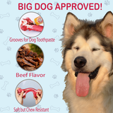 Dog Bone for Aggressive Chewers