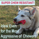 Dog Bone for Aggressive Chewers